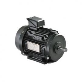 Động Cơ Motor IE3 là gì ? Sự khác biệt giữa các loại Motor IE1, IE2, IE3, IE4