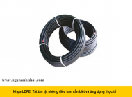 Tầm quan trọng của nhựa LDPE và tác động của chúng đến môi trường