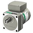 KIIS Series Three-Phase Gear Motors