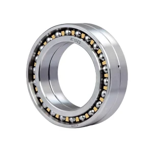 Bạc Đạn Cầu Tiếp Xúc Góc 2 Dãy ESG