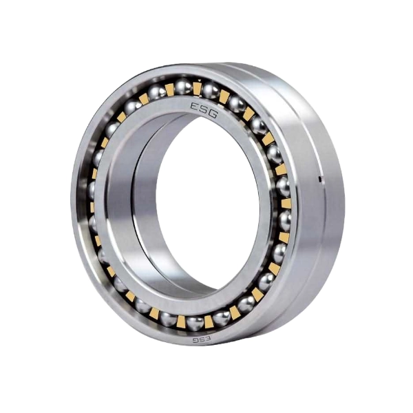 Bạc Đạn Cầu Tiếp Xúc Góc 2 Dãy ESG