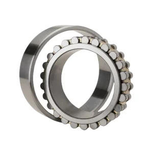 Bạc Đạn Trụ 2 Dãy Bi NTN