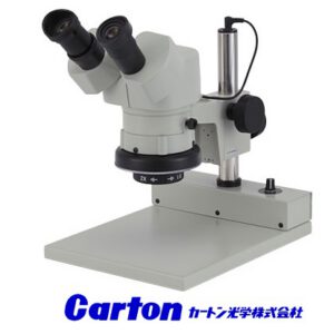 CARTON VIỆT NAM