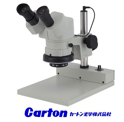 CARTON VIỆT NAM