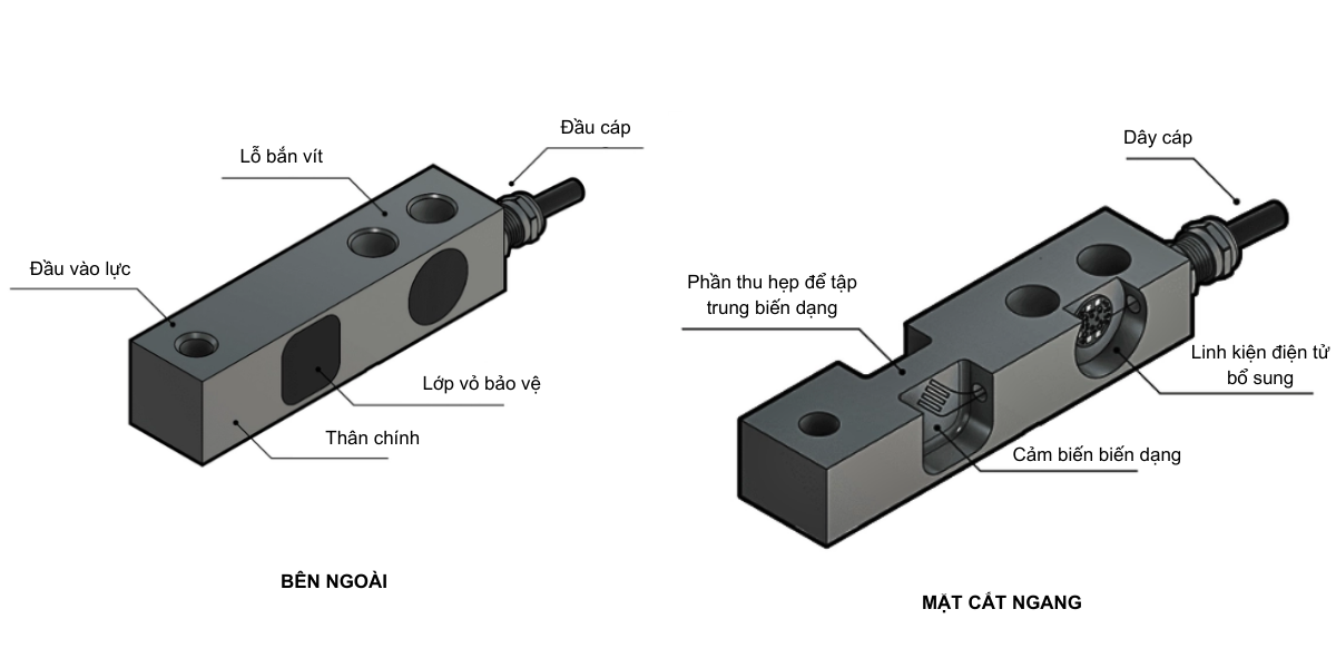 cau_tao_co_ban_cua_load_cell