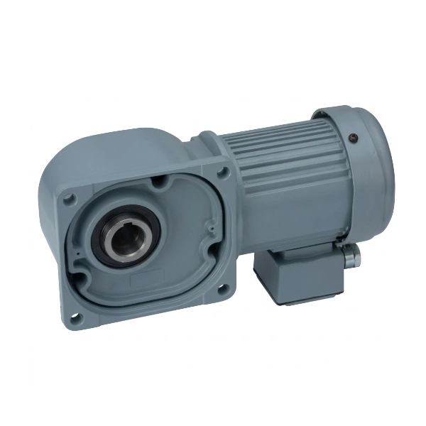 Động Cơ Giảm Tốc Có Thắng NISSEI 3-Phase 25W