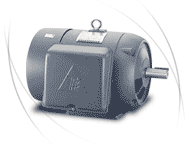 TECO Single-Phase Motor