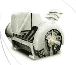 TECO High Voltage 3-Phase Motor