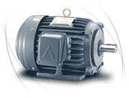 TECO Low Voltage 3-Phase Motor