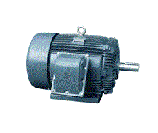 MOTOR CHỐNG CHÁY NỔ TECO
