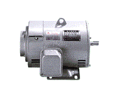 TECO DC Motor