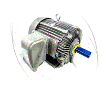 TECO NEMA High Efficiency Motor