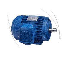 TECO High Efficiency Motor