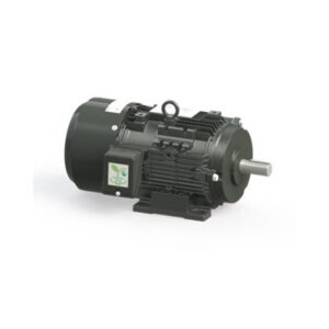 Động Cơ Motor TOSHIBA IE3 Cao Cấp