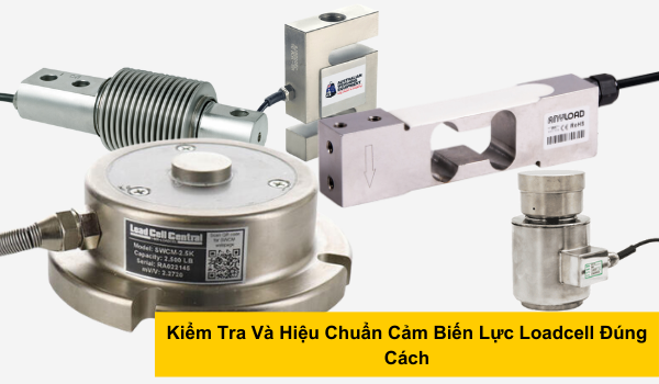 Kiểm Tra Và Hiệu Chuẩn Cảm Biến Lực Load Cell Đúng Cách