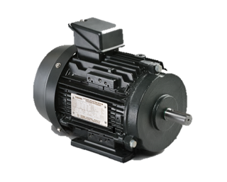 Động Cơ Motor TOSHIBA IE3 Cao Cấp