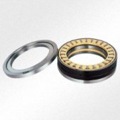 ESG THRUST BEARING