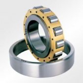 ESG SINGLE ROW CYLINDRICAL ROLLER BEARING