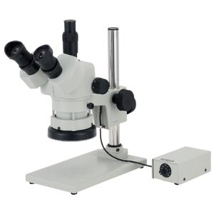 Kính Hiển Vi CARTON DSZT-70SBGM