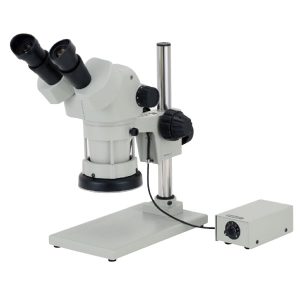 Kính Hiển Vi CARTON SPZH-135SBGLC