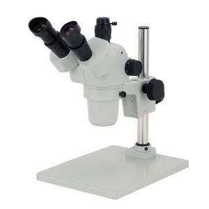 Kính Hiển Vi CARTON SPZT-50D-P/SPZV-50P